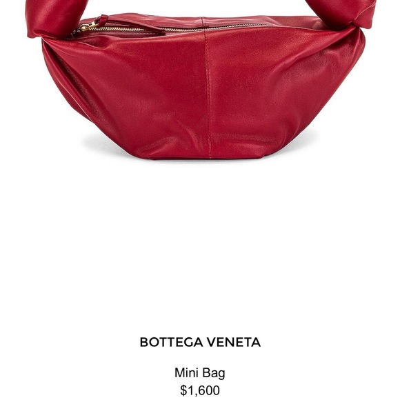 Bottega Veneta double knot leather bag purse - Picture 13 of 14